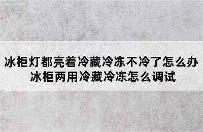 冰柜灯都亮着冷藏冷冻不冷了怎么办 冰柜两用冷藏冷冻怎么调试